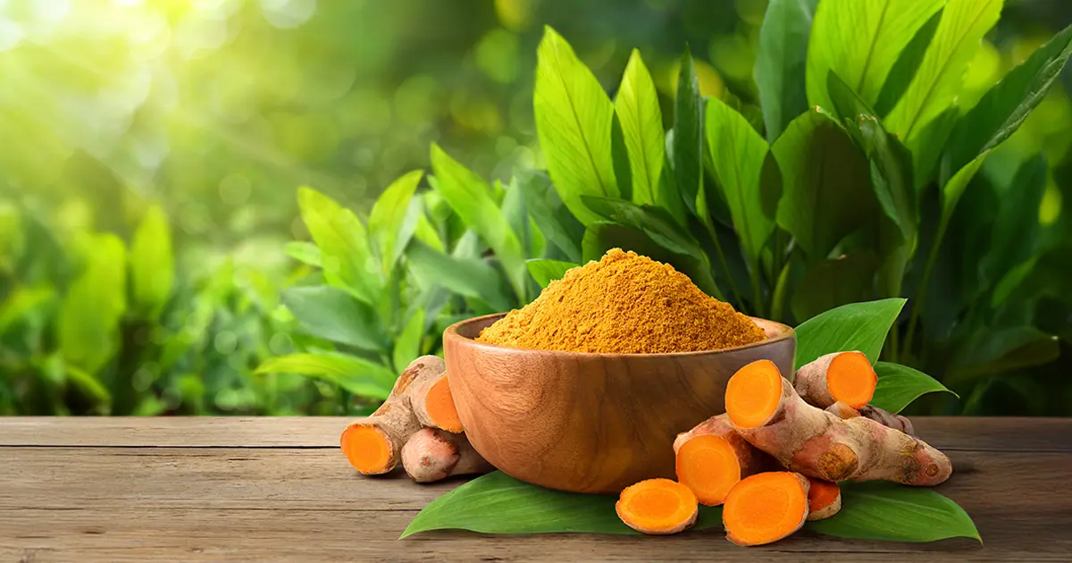 Curcumin reduziert Muskelschäden und Entzündungen nach dem Training