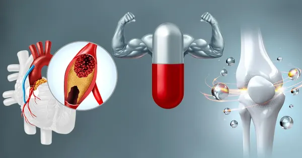 Die umfassende Rolle von Vitamin K2 für die menschliche Gesundheit