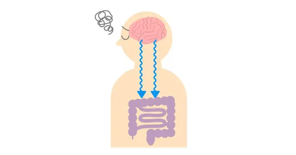 Welche Bedeutung hat psychologischer Stress für das durch Nahrungsmittel ausgelöste Reizdarmsyndrom?
